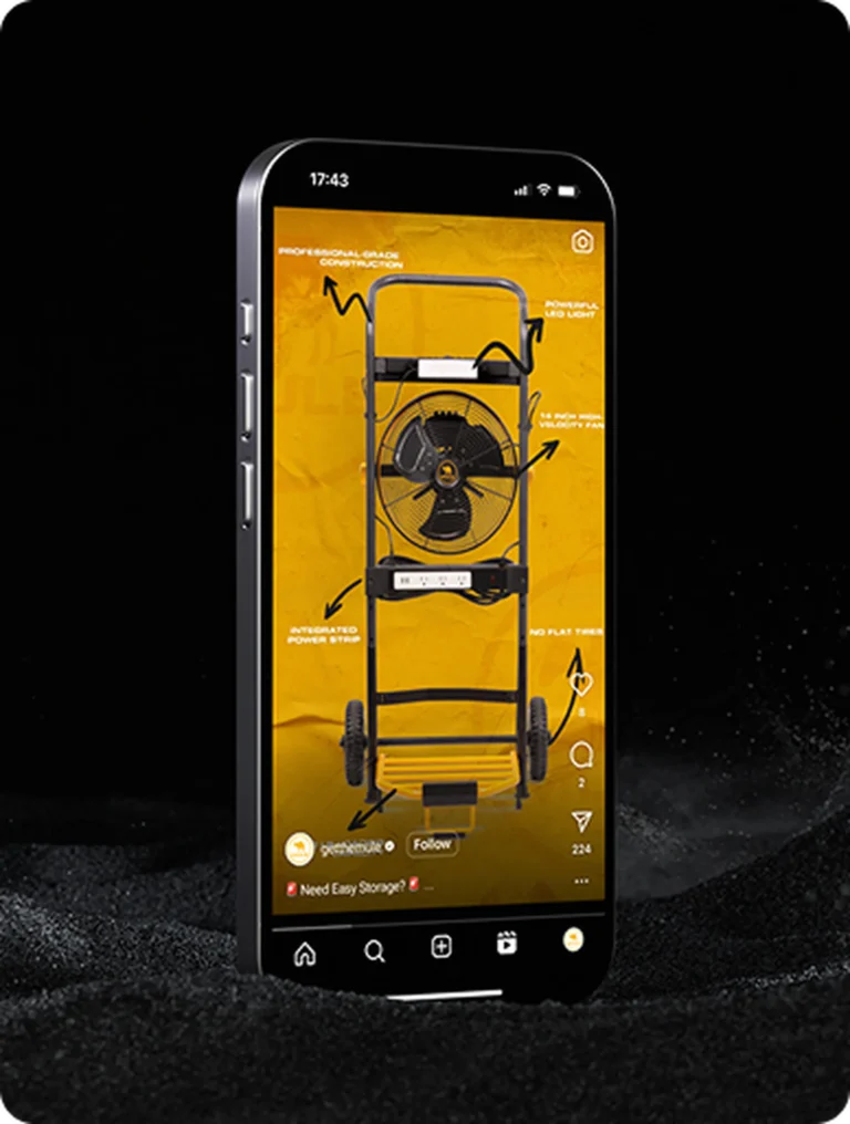 RingoFire Marketing Agency 29 mule 1_result