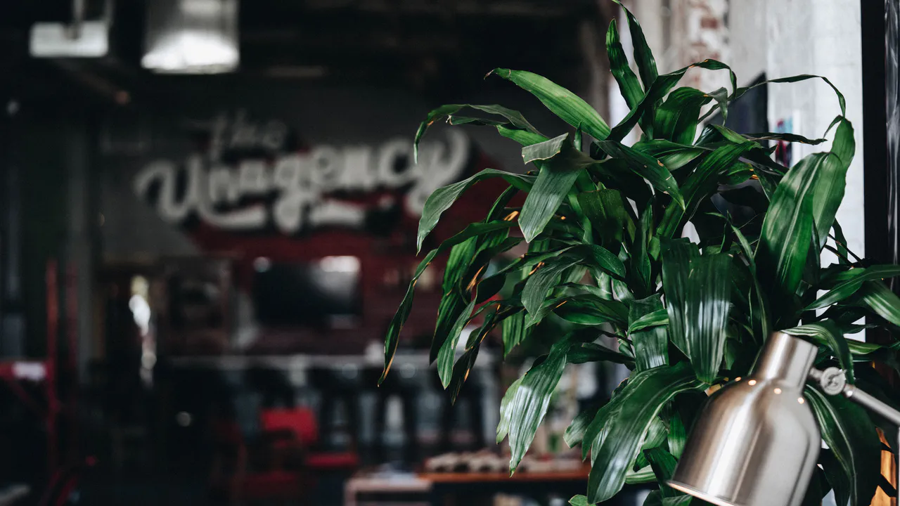 About 44 Image gallery marquee