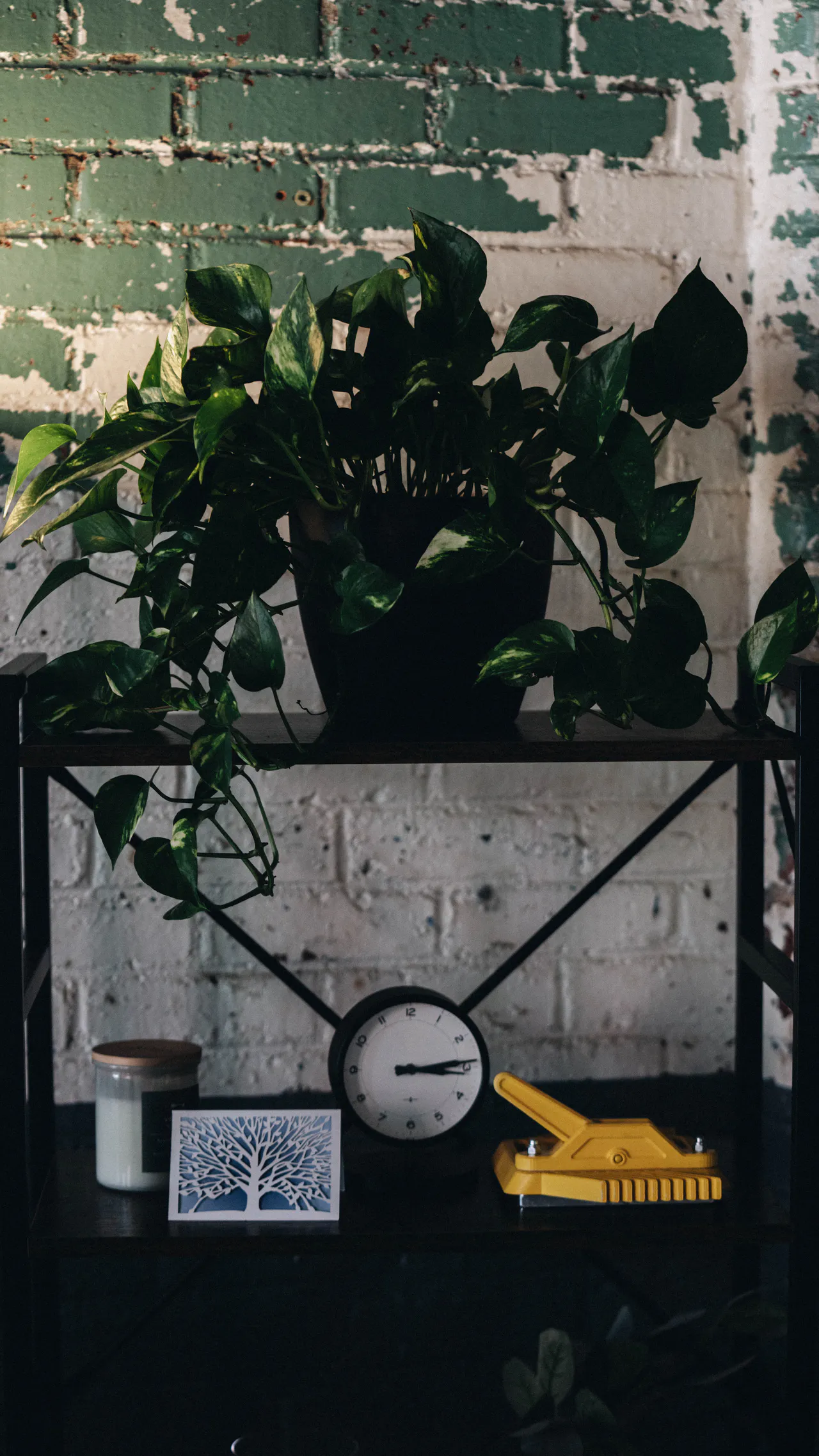 About 13 Image gallery marquee