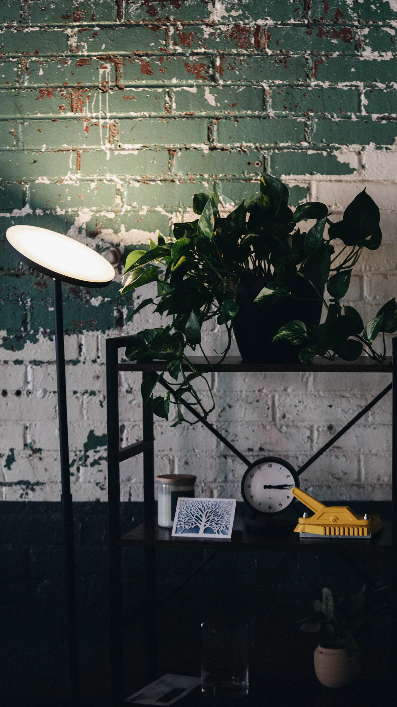 About 24 Image gallery marquee