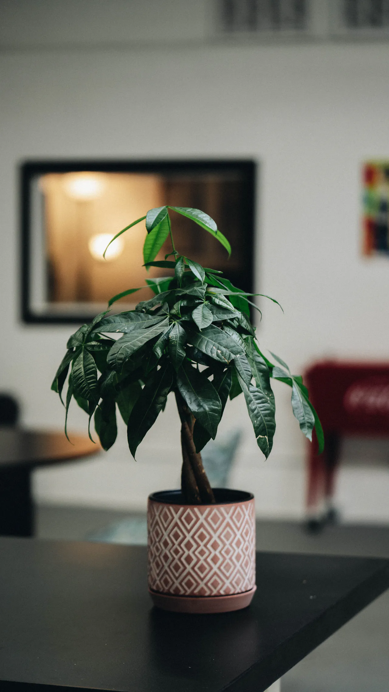 About 16 Image gallery marquee