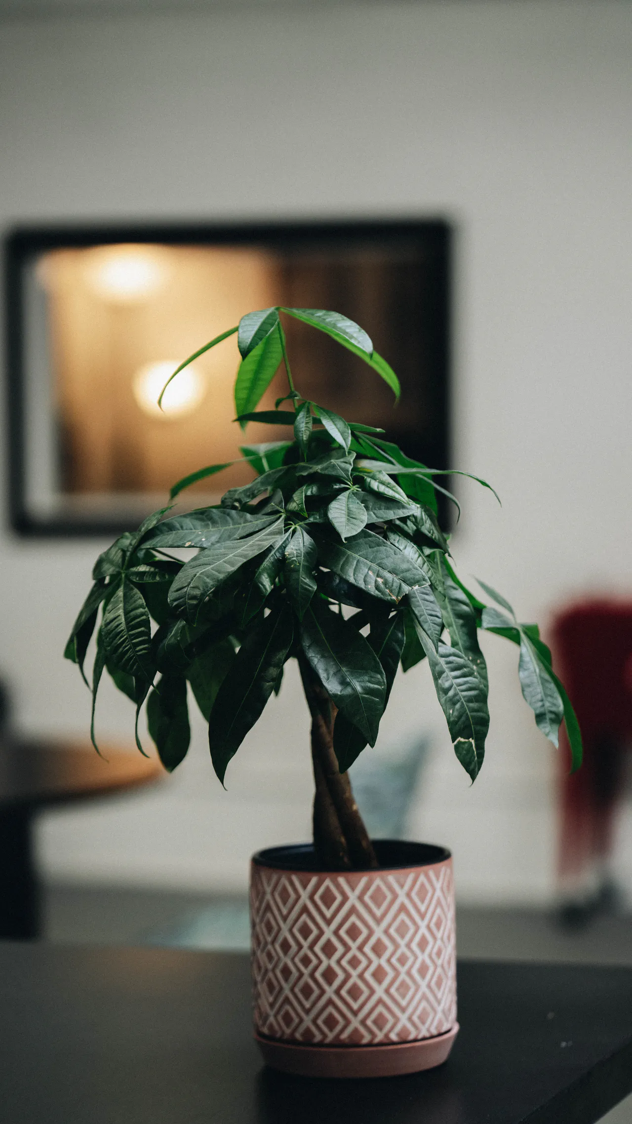 About 6 Image gallery marquee