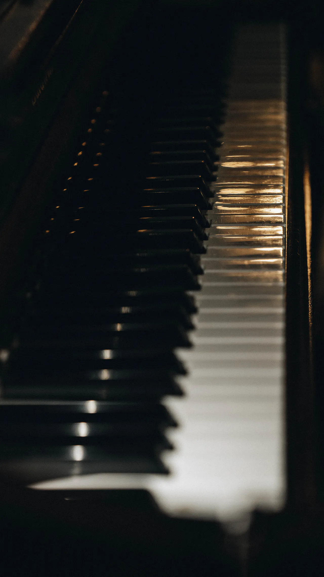 About 5 Image gallery marquee