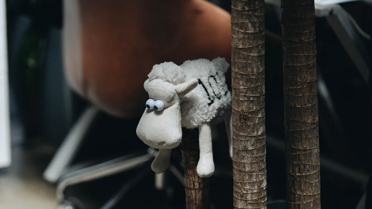 About 27 Image gallery marquee