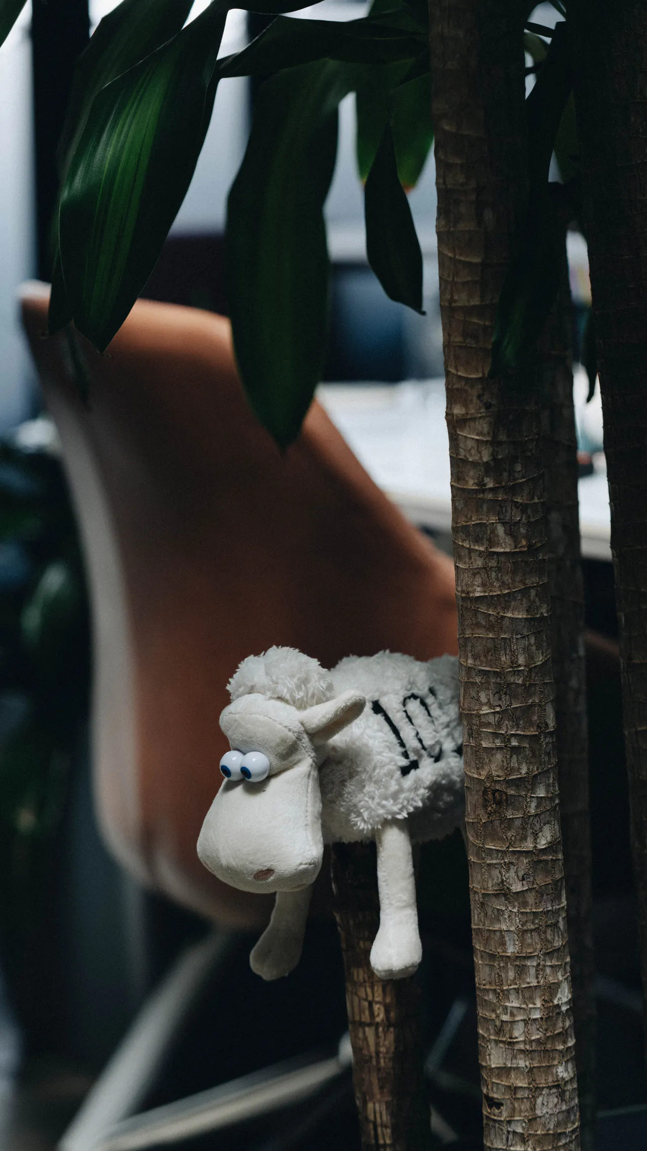 About 53 Image gallery marquee